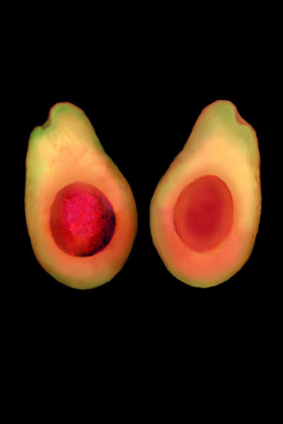 Avocado-peach hybrid